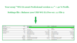 WG EA 2026 Pro ver. 1.1 Balance 200 USD ( Photo 1 )..png