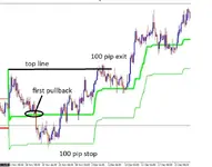 buy 100 pip.webp