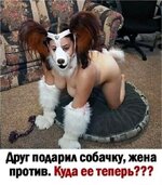 Друг подарил собачку.jpg