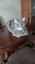 20260705_080555.jpg